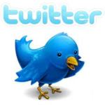 Twitter -Flying The Blue Bird